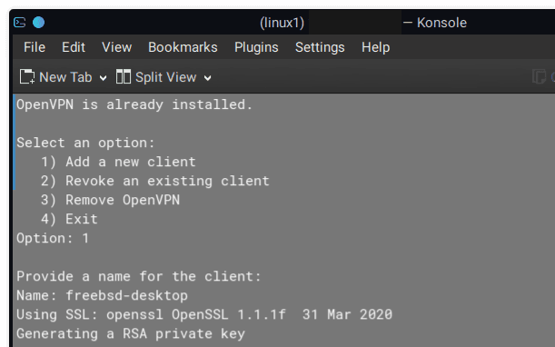 openvpn