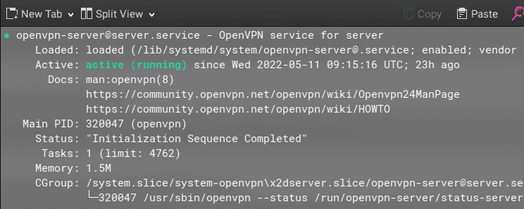 openvpn