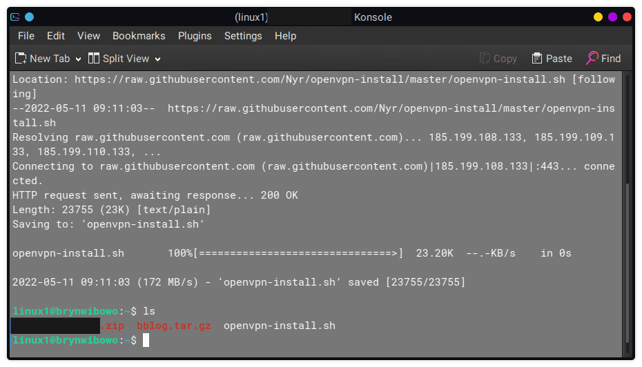 openvpn