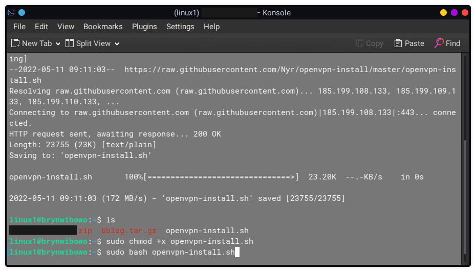 openvpn