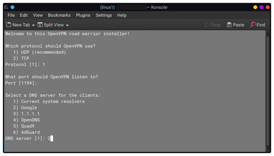 openvpn