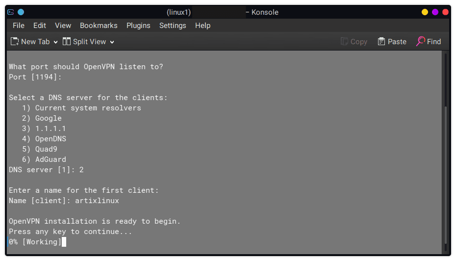 openvpn