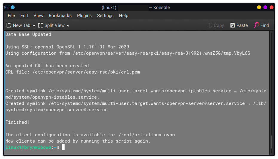 openvpn