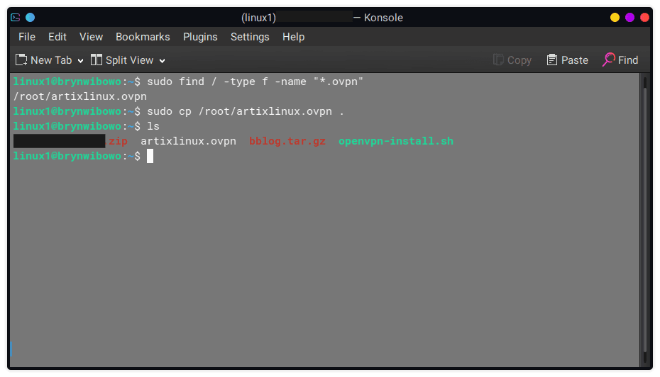 openvpn